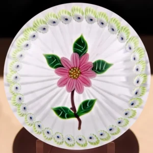 William Manson Sr. Caithness Pink Camelia