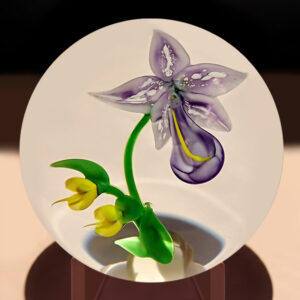 Randall Grubb Ladyslipper Orchid